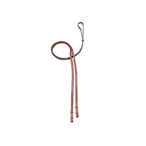 Reins
