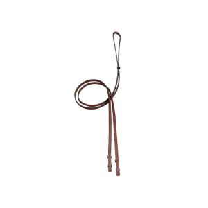 Reins